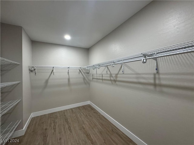 walk in closet with wood-type flooring