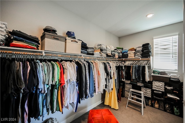 walk in closet featuring carpet floors