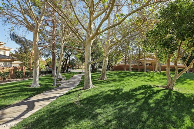 view of home's community with a yard