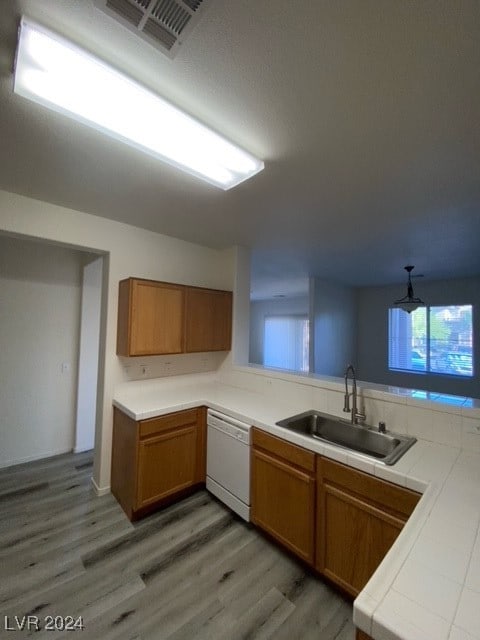 kitchen featuring light hardwood / wood-style flooring, sink, white dishwasher, and plenty of natural light