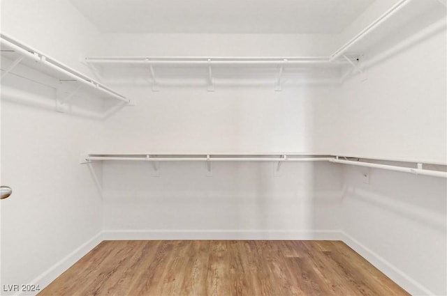 walk in closet featuring wood finished floors
