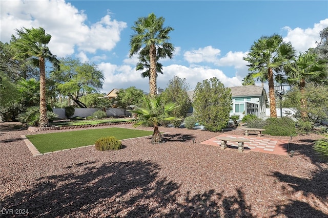 view of yard with a patio area