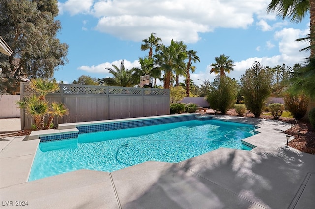 view of pool with a patio