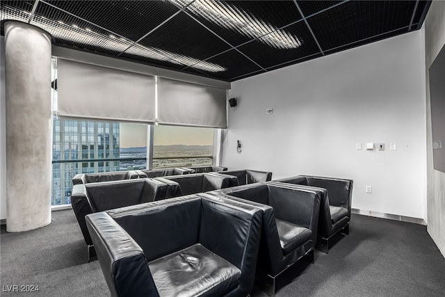 home theater featuring dark colored carpet