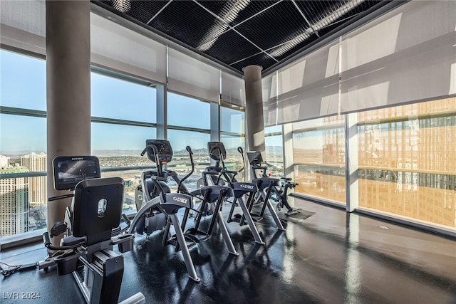 gym featuring a wall of windows