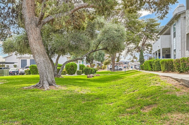 view of community featuring a yard