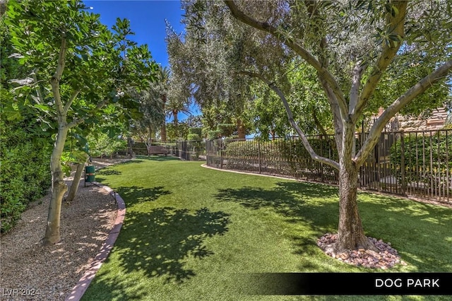 9103 Alta Dr Unit 401, Las Vegas, NV 89145 - view of yard