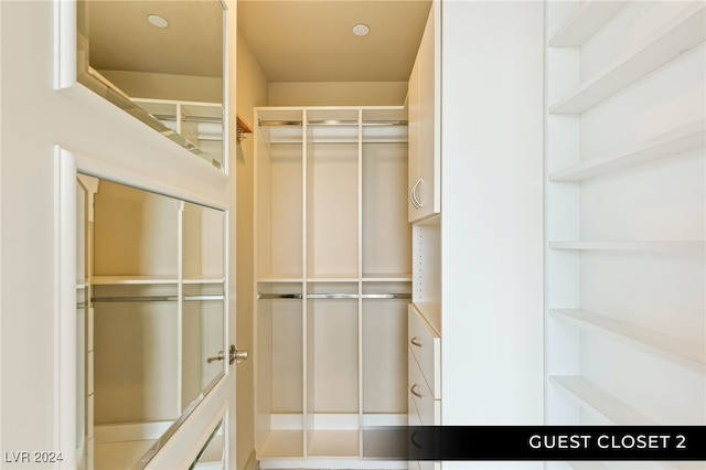 view of spacious closet