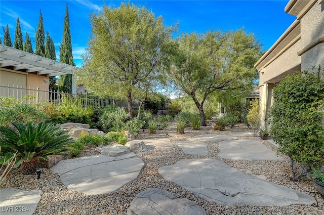 view of yard with a patio area