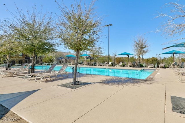 view of swimming pool featuring a patio