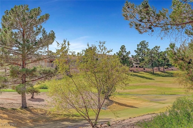 view of home's community featuring a yard