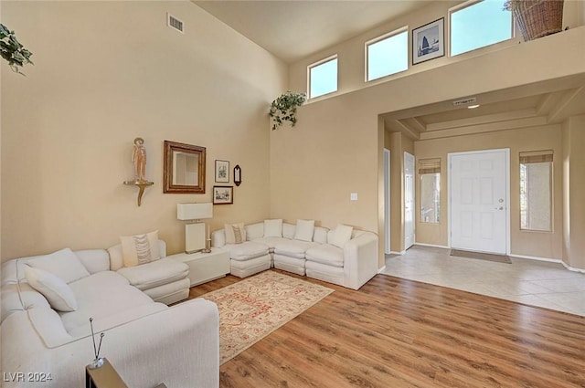 living room featuring plenty of natural light and wood-type flooring