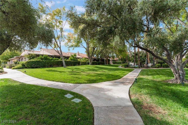 view of community with a lawn