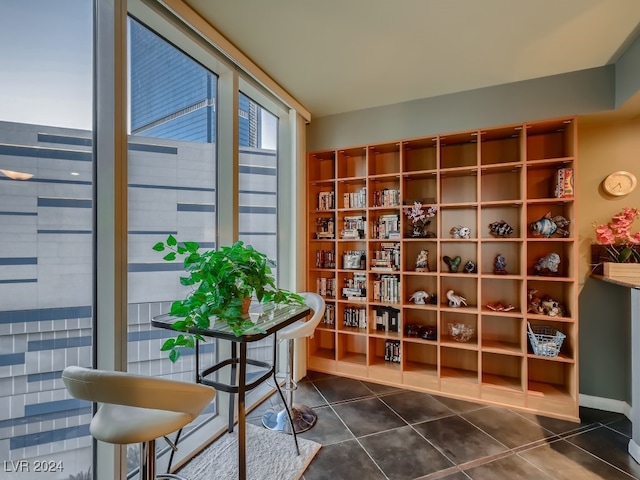 wine area featuring dark tile patterned floors