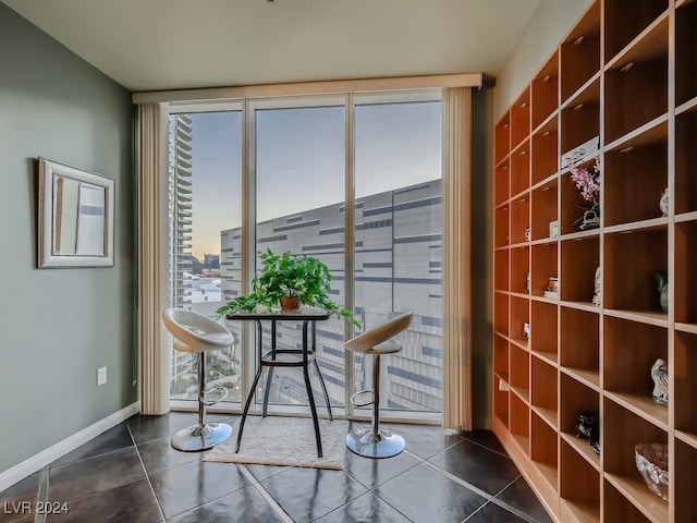 wine cellar featuring dark tile patterned flooring