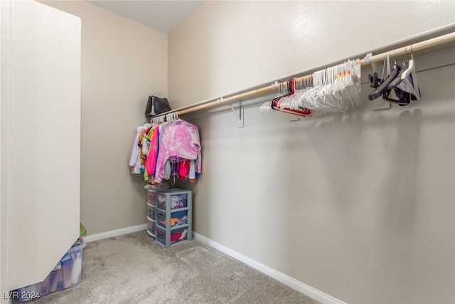 spacious closet with light colored carpet