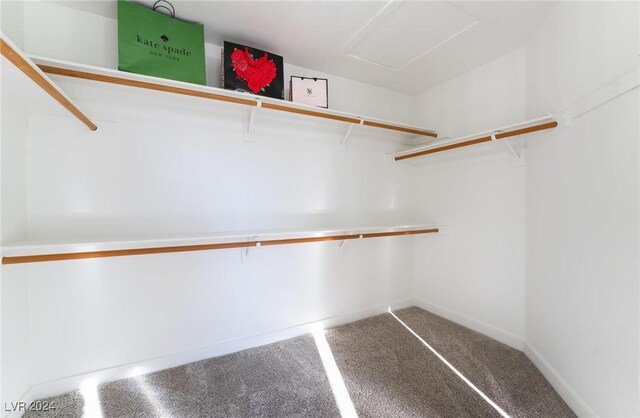 spacious closet with carpet flooring