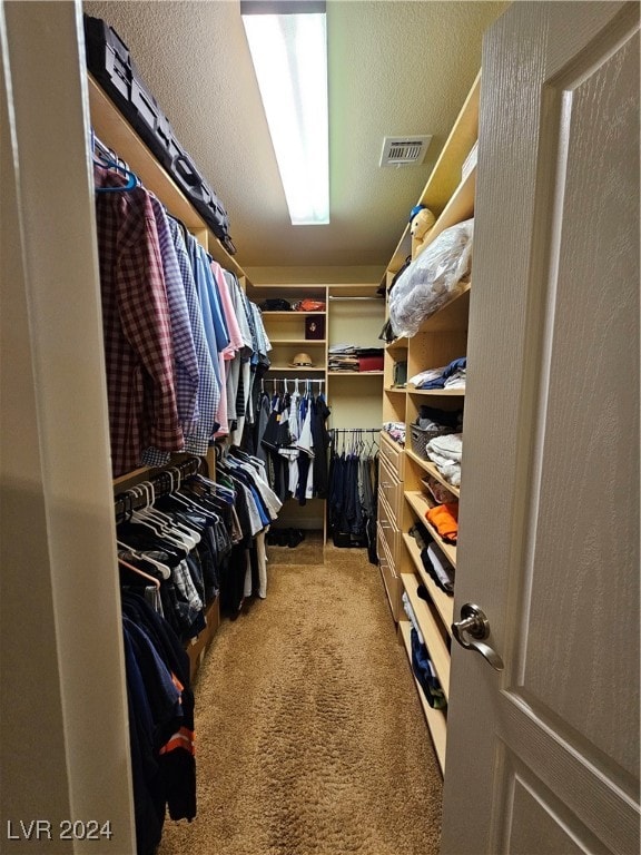 spacious closet with carpet