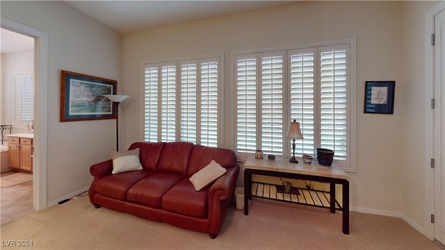 living room featuring light colored carpet