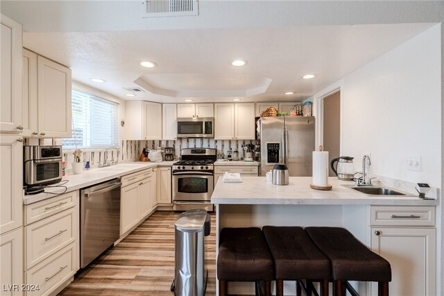 kitchen with a raised ceiling, appliances with stainless steel finishes, a breakfast bar, and sink