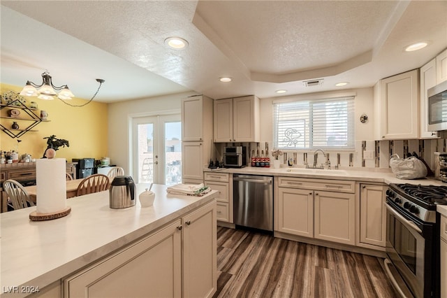 kitchen featuring sink, a tray ceiling, a healthy amount of sunlight, and appliances with stainless steel finishes