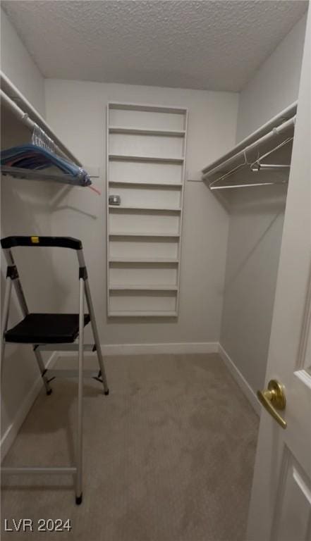 walk in closet featuring carpet floors