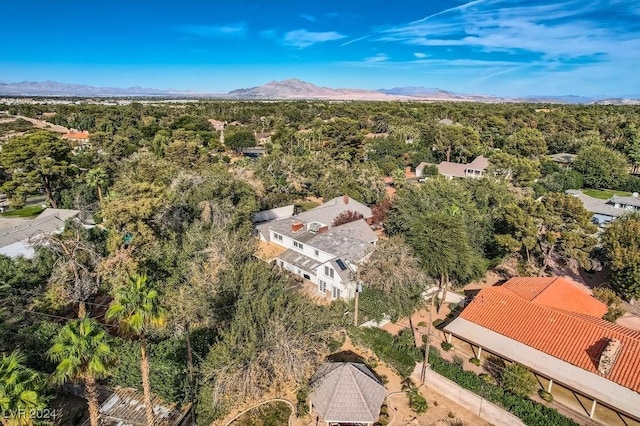 drone / aerial view featuring a mountain view