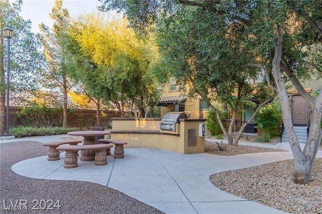 view of community with a patio area and exterior kitchen