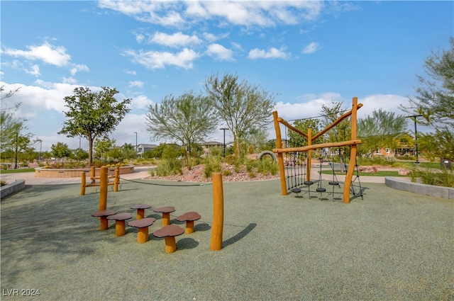 view of jungle gym