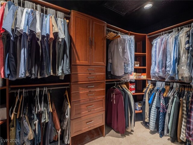 spacious closet featuring light carpet