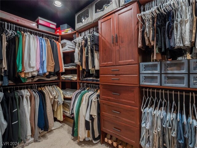 walk in closet with light carpet