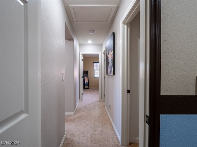 corridor featuring light colored carpet