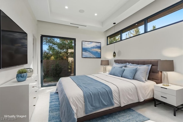 bedroom featuring multiple windows, access to outside, and a tray ceiling