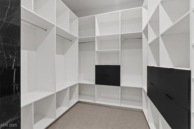 1 Olympia Canyon Way, Las Vegas, NV 89141 - walk in closet with light colored carpet