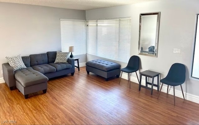 living room featuring wood-type flooring and a textured ceiling