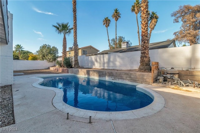 view of swimming pool featuring a patio area