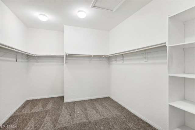 spacious closet with carpet floors