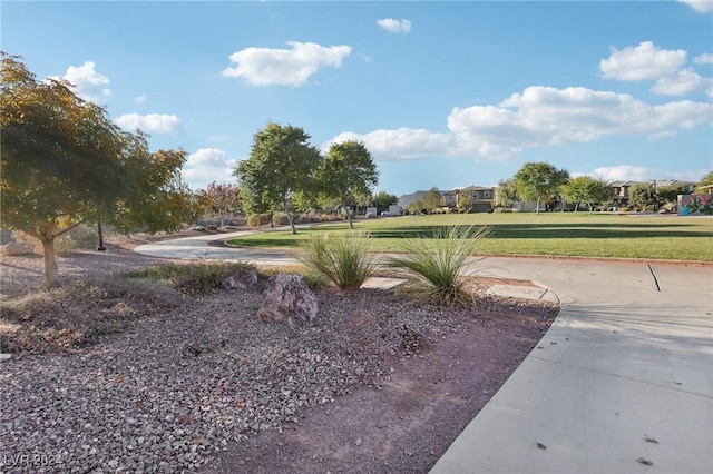 view of home's community with a lawn