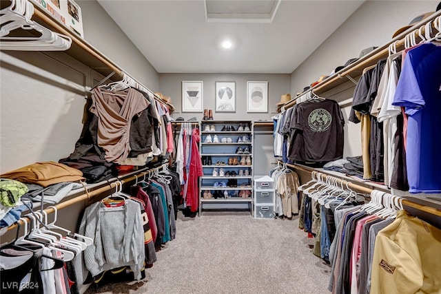 walk in closet with carpet floors