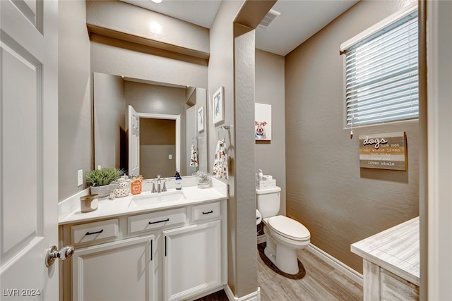 bathroom featuring toilet, vanity, and hardwood / wood-style flooring