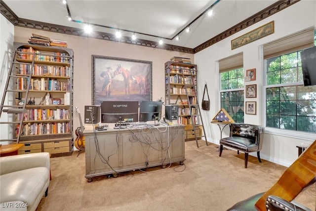 home office with track lighting and light carpet