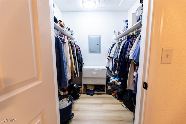 walk in closet with electric panel and light wood-type flooring