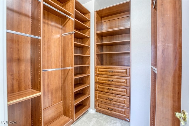 spacious closet with light colored carpet