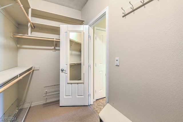 spacious closet with light colored carpet