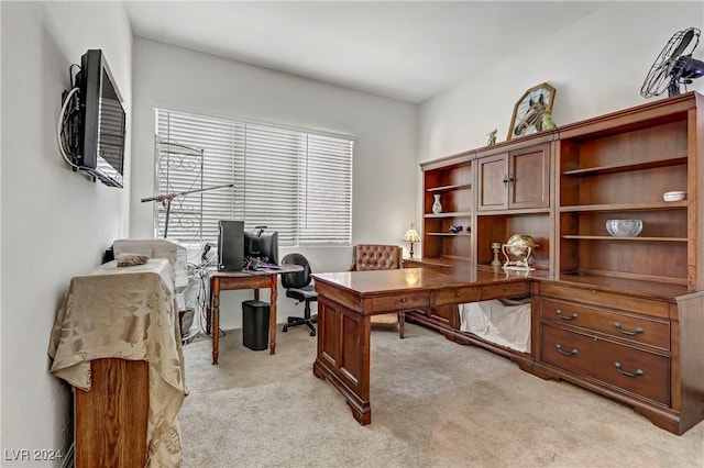 office featuring light colored carpet