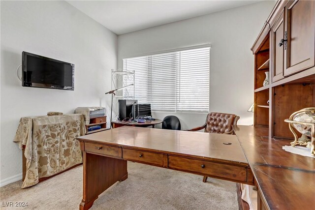 office area featuring carpet floors