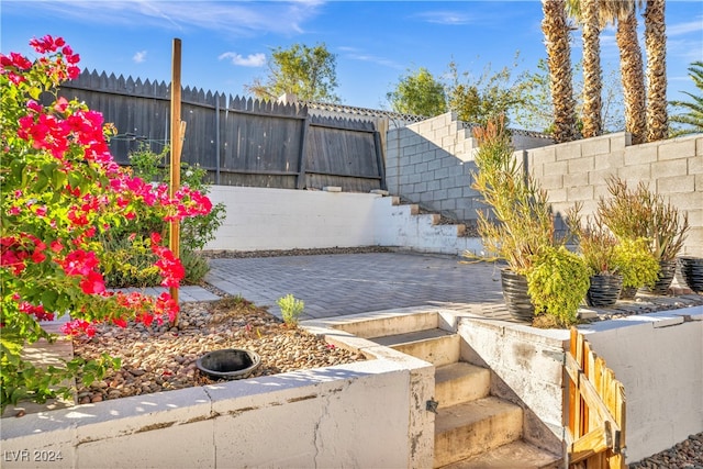 view of yard with a patio area