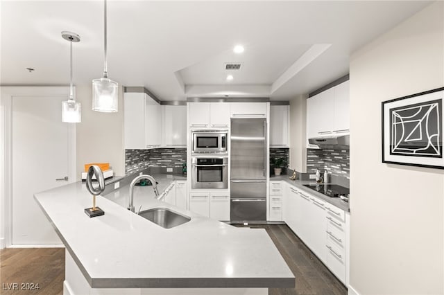 kitchen with a sink, dark wood finished floors, appliances with stainless steel finishes, a peninsula, and a raised ceiling