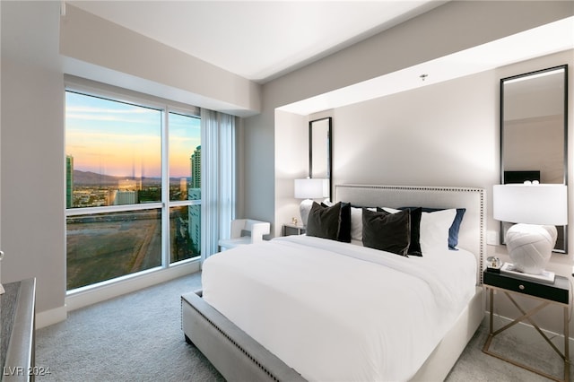 bedroom with carpet floors