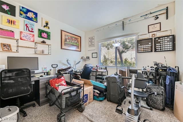 office with carpet floors